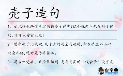 殼子造句