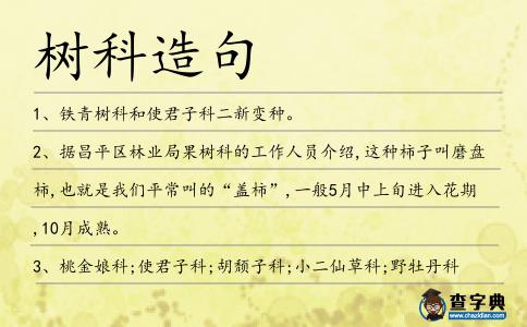 樹科造句