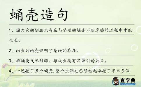 蛹殼造句