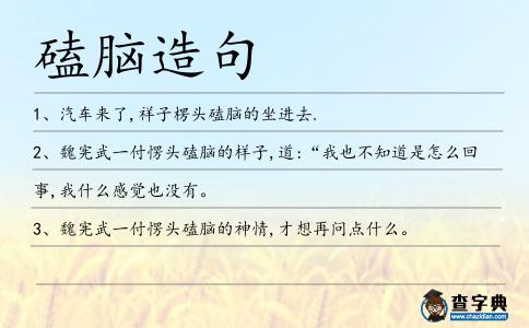 磕腦造句