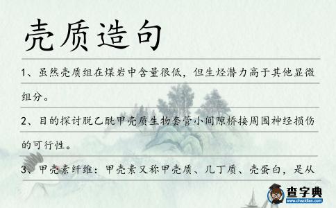 殼質造句