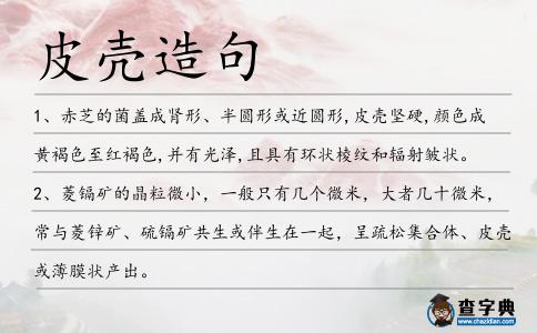 皮殼造句