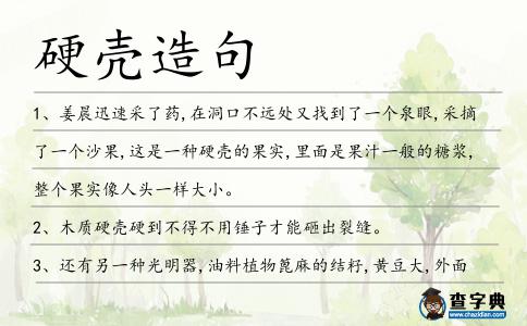 硬殼造句