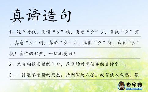 真諦造句
