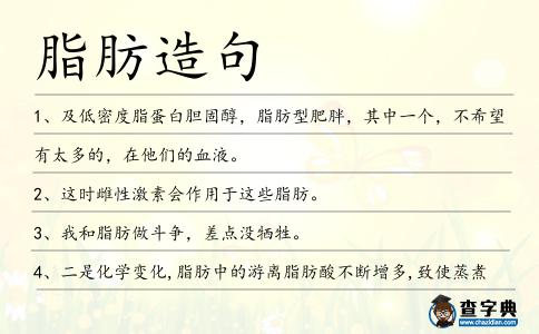 脂肪造句