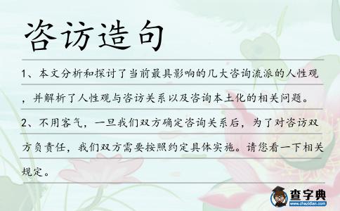 咨訪造句