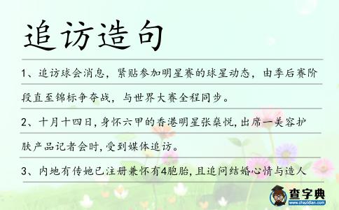 追訪造句