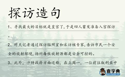 探訪造句