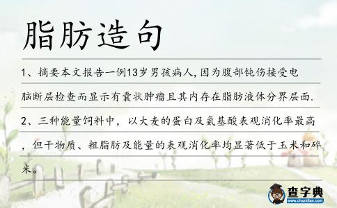 脂肪造句