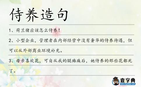 侍養(yǎng)造句