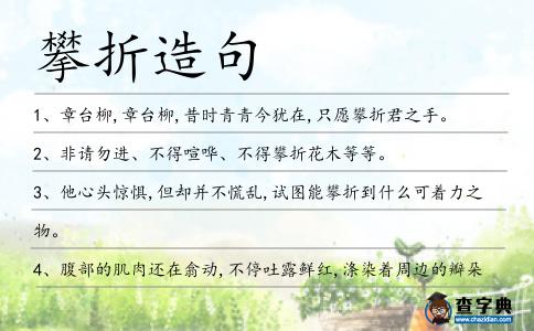 攀折造句