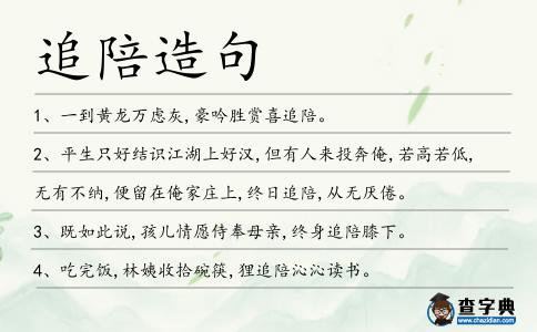 追陪造句