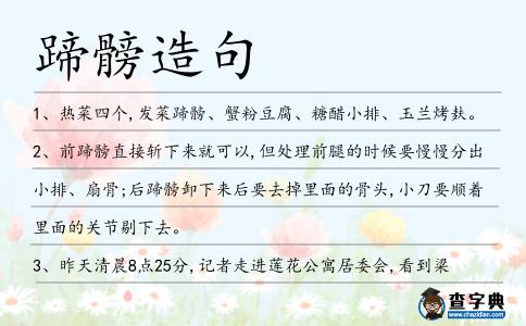 蹄髈造句