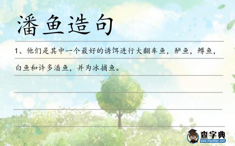 潘魚造句