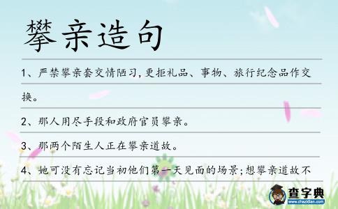 攀親造句