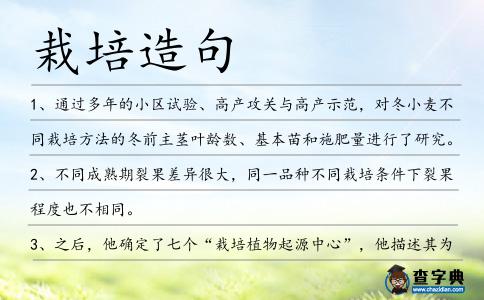 栽培造句