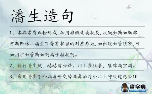 潘生造句