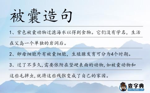 被囊造句
