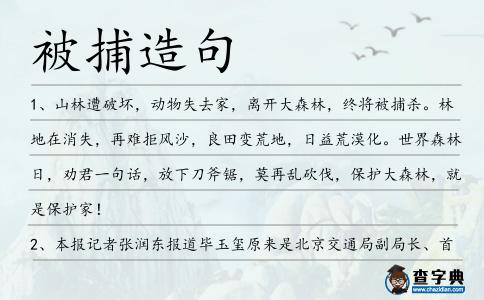 被捕造句