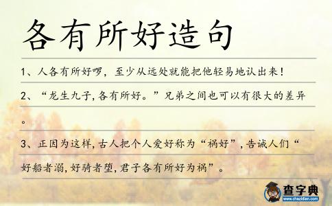 各有所好造句