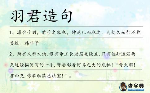 羽君造句