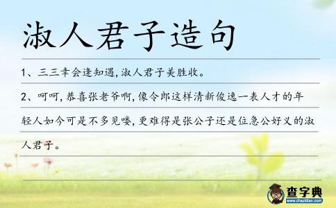 淑人君子造句