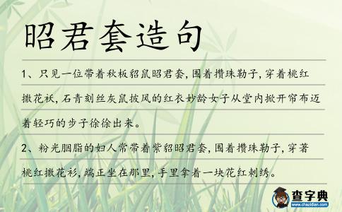 昭君套造句