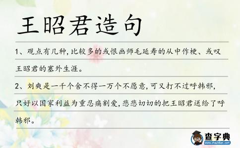 王昭君造句