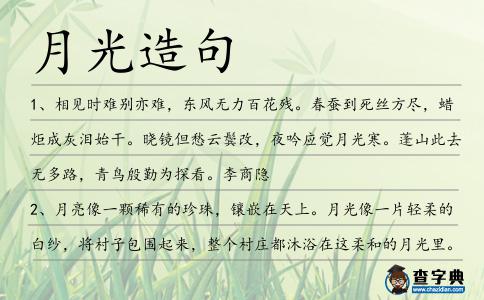 月光造句