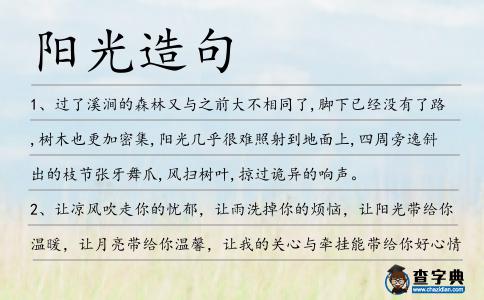 陽光造句