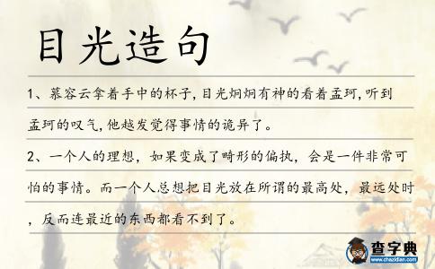 目光造句
