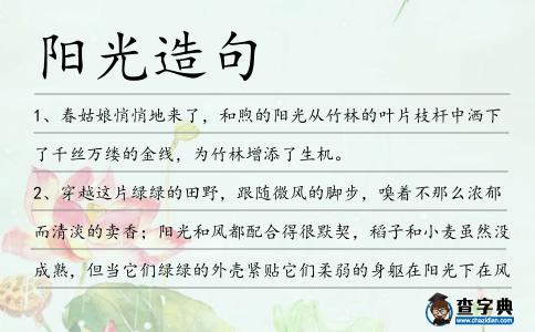 陽光造句