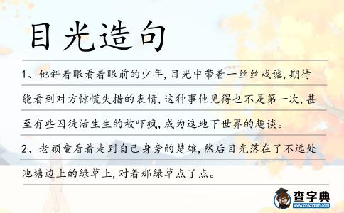 目光造句