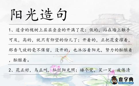 陽光造句