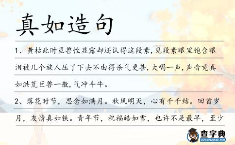 真如造句
