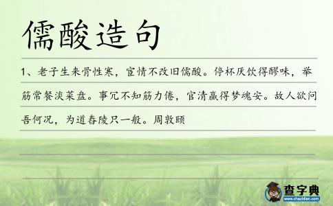 儒酸造句