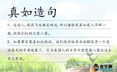 真如造句