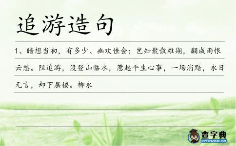 追游造句
