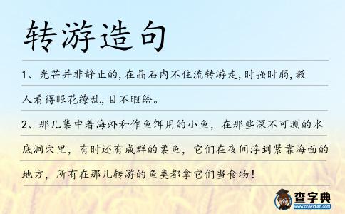 轉(zhuǎn)游造句