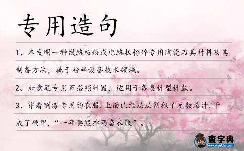 專用造句