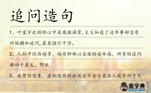 追問造句