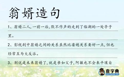 翁婿造句