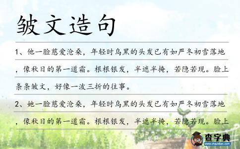 皺文造句