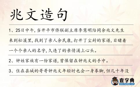 兆文造句