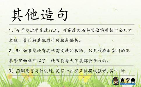 其他造句