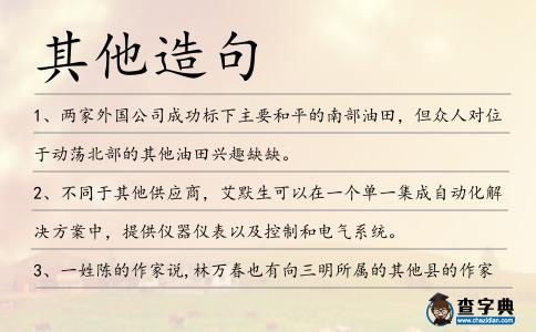 其他造句