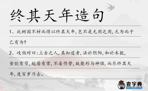 終其天年造句