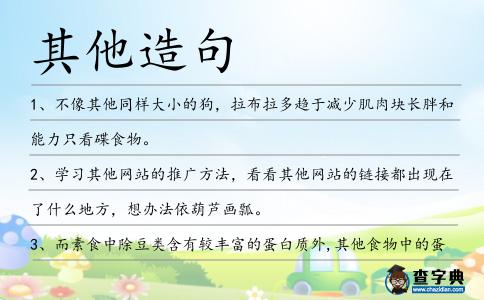 其他造句