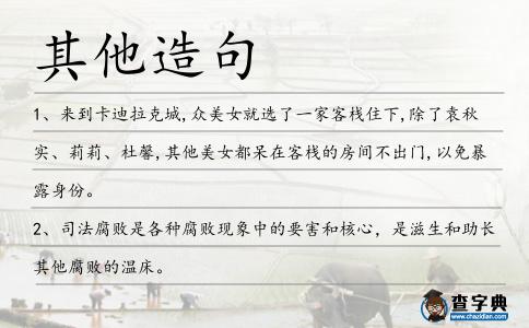 其他造句