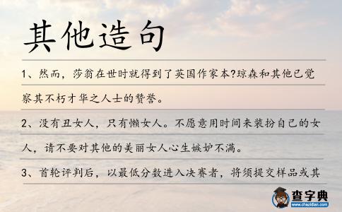 其他造句
